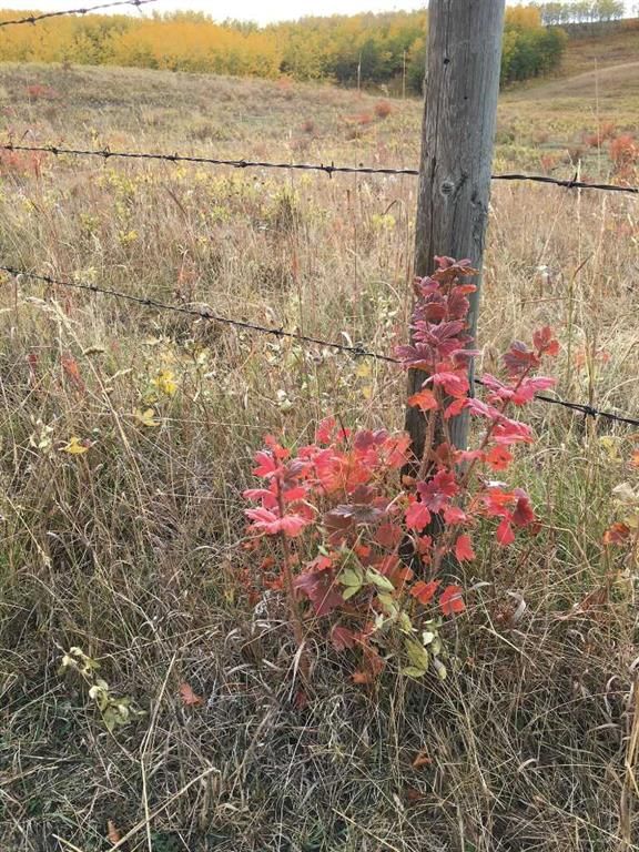 96 Street W, Calgary — residential land for sale