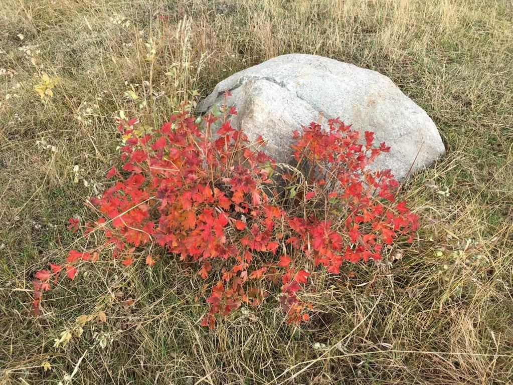 96 Street W, Rural Foothills County — photo 2 of 42