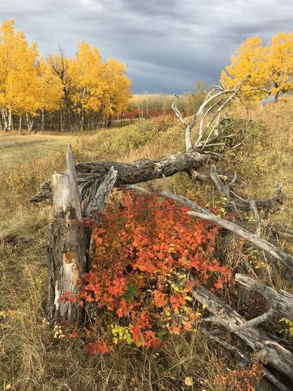 96 Street W, Rural Foothills County — photo 3 of 42