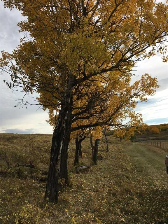 96 Street W, Rural Foothills County — photo 4 of 42