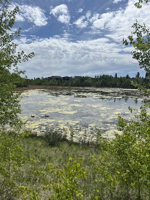 284 Rock Lake Drive NW, Calgary — main listing photo