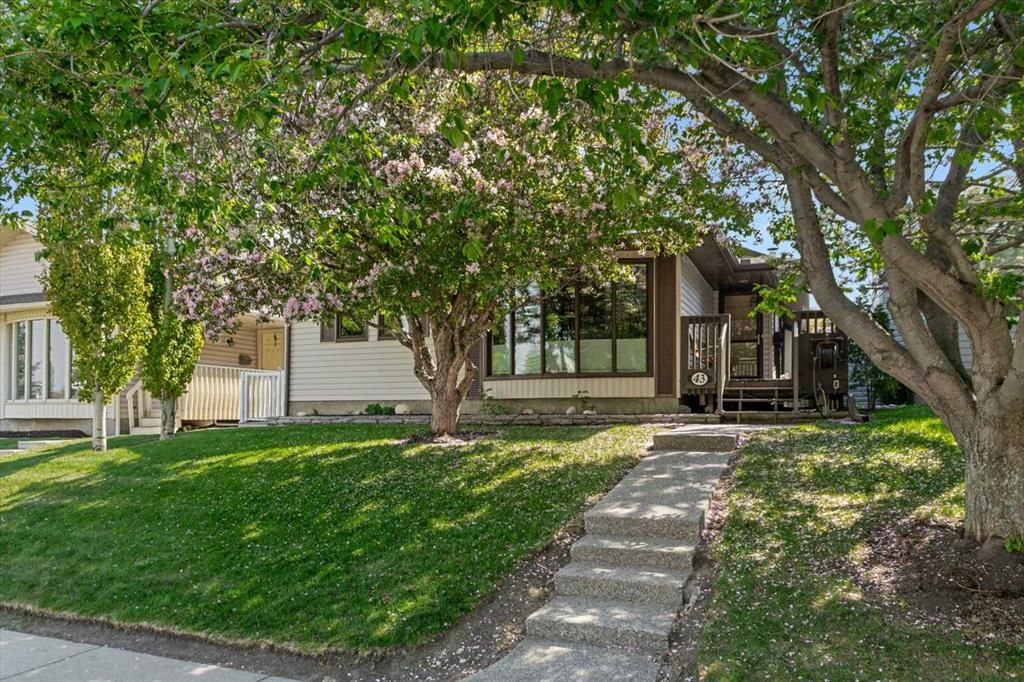 43 Scenic Acres Drive NW, Calgary — photo 4 of 38