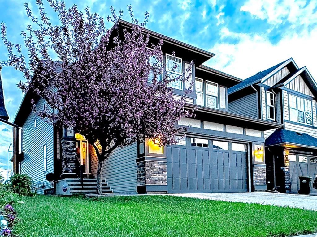 41 Chaparral Valley Green SE, Calgary — main listing photo