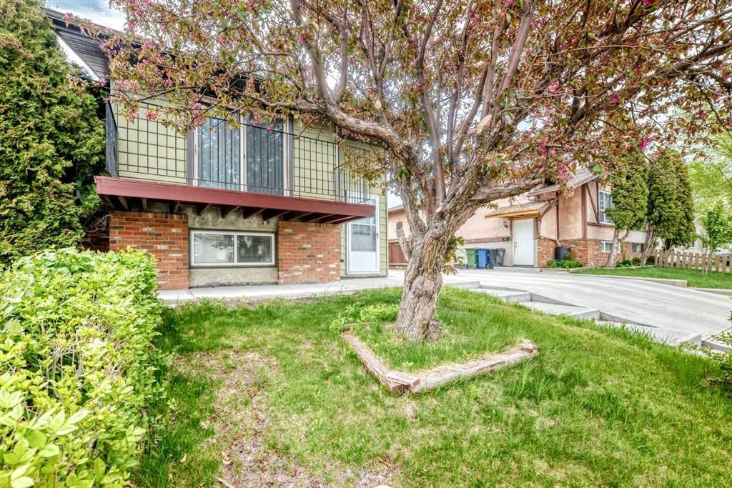 4218 38 Street NE, Calgary — photo 2 of 50