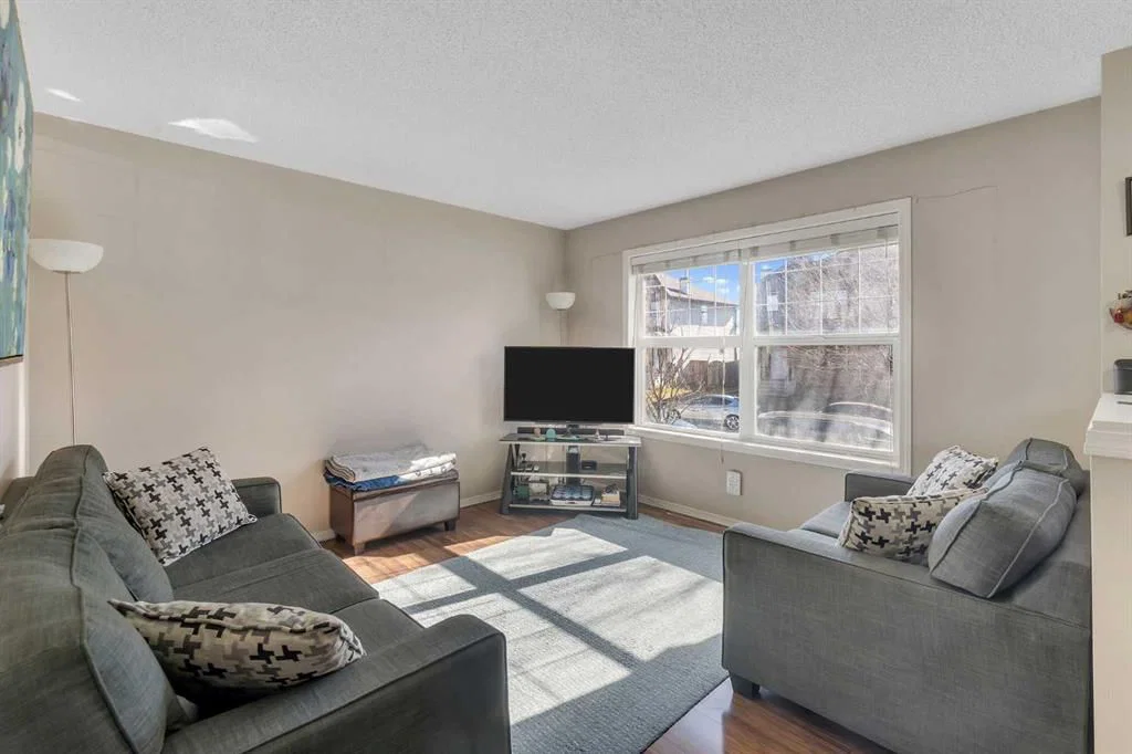33 Saddlebrook Common NE, Calgary — photo 3 of 38