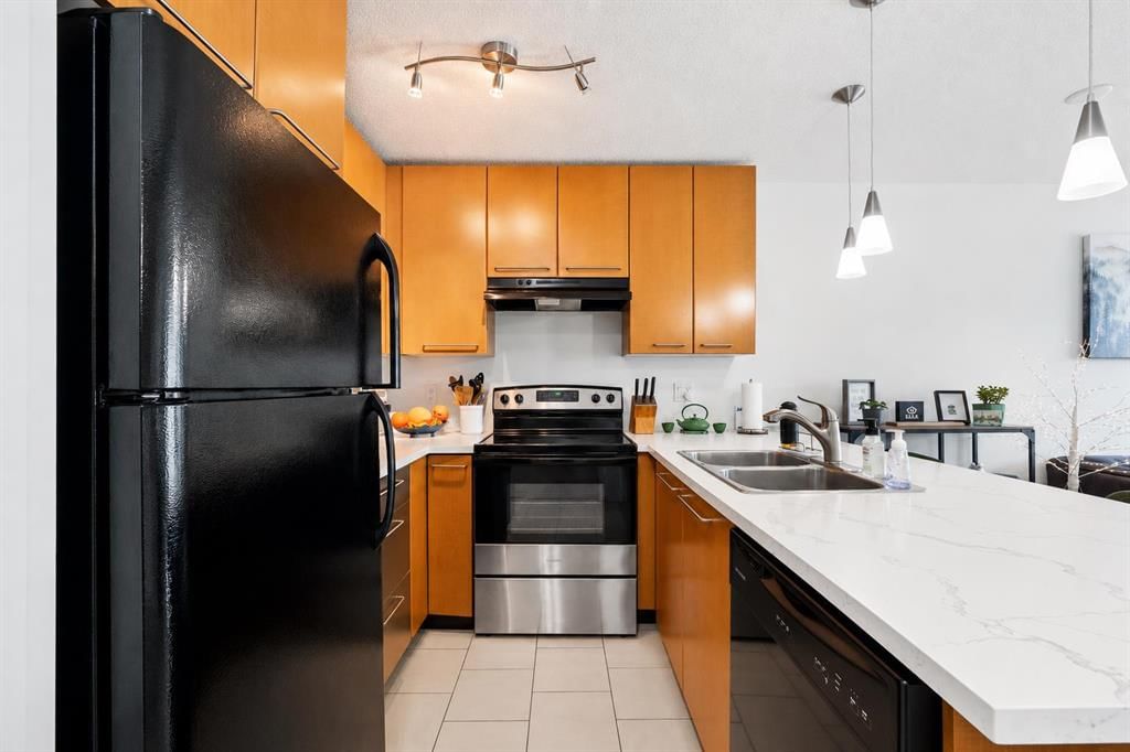 356, 35 Richard Court SW, Calgary — photo 4 of 30