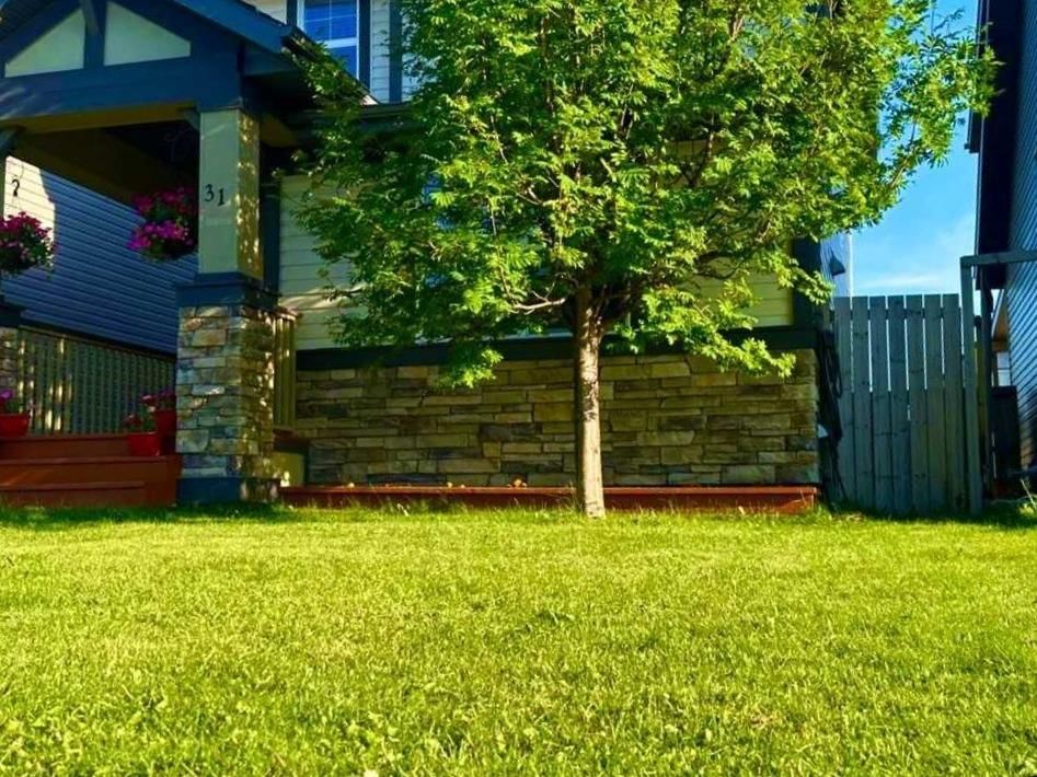 31 Skyview Springs Rise NE, Calgary — photo 5 of 29