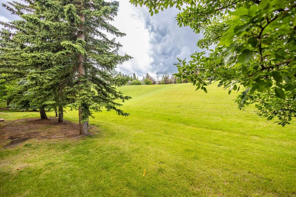 17 Patina Park SW, Calgary — photo 2 of 41