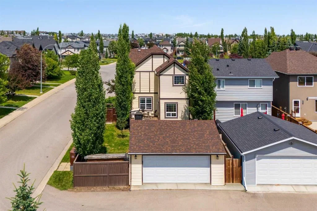 298 Silverado Plains Close SW, Calgary — photo 5 of 47