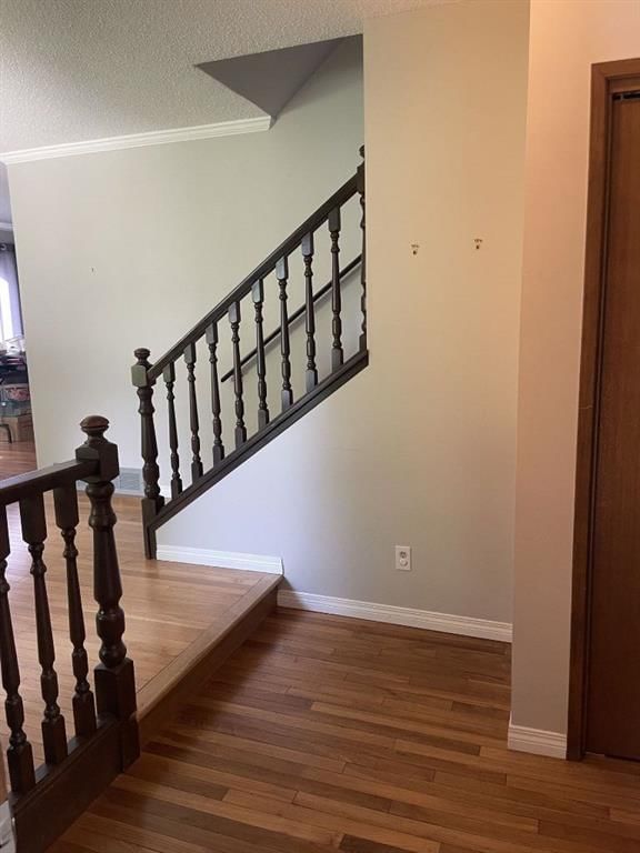 160 Hawkwood Way NW, Calgary — photo 5 of 36
