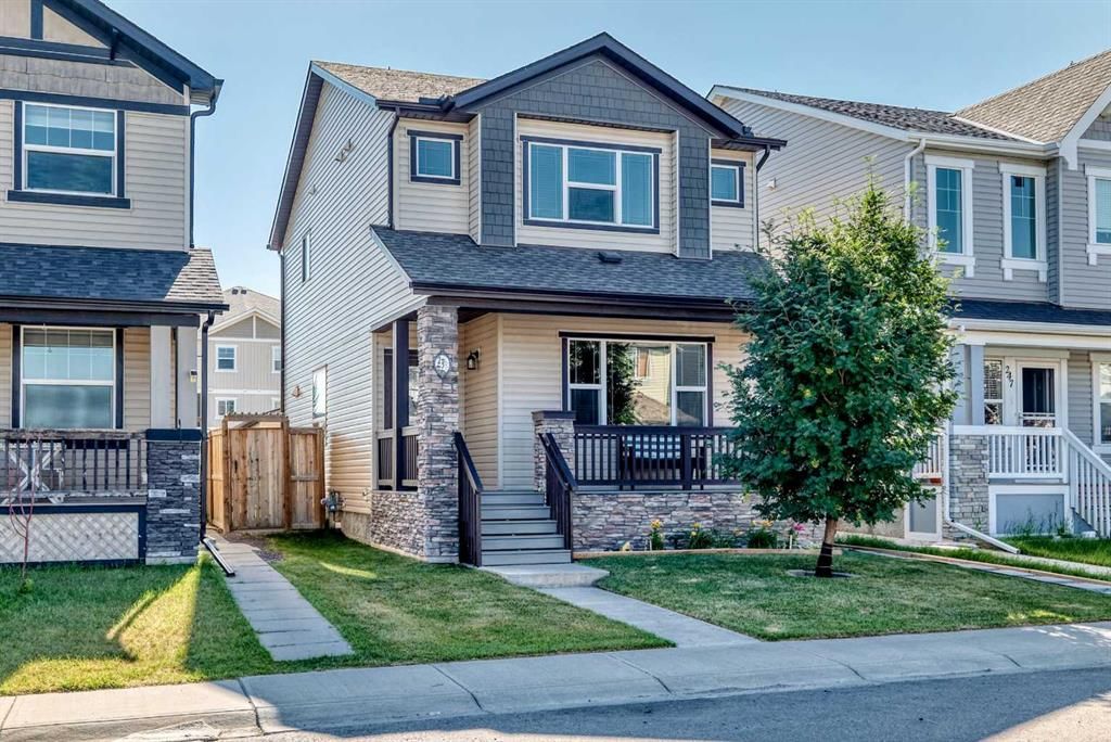 251 Skyview Point Road NE, Calgary — photo 2 of 50