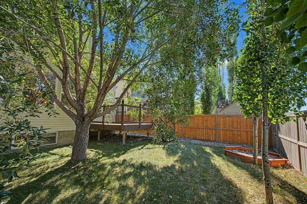 64 Copperpond Terrace SE, Calgary — photo 3 of 38