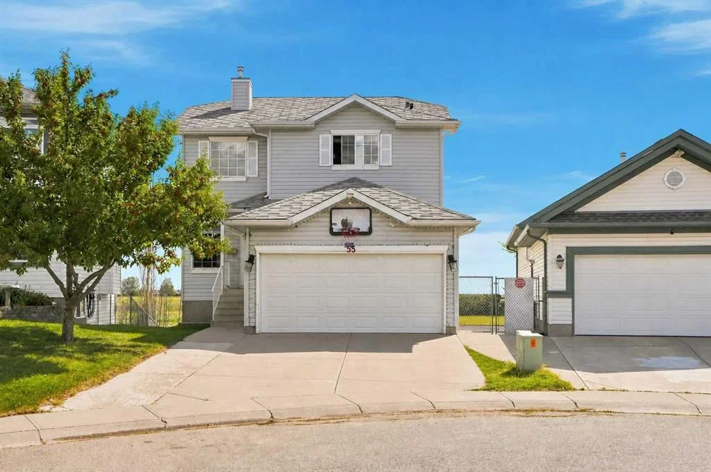 55 Anaheim Crescent NE, Calgary — main listing photo
