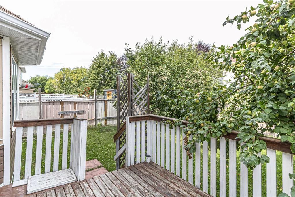 769 Coral Springs Boulevard NE, Calgary — photo 4 of 39