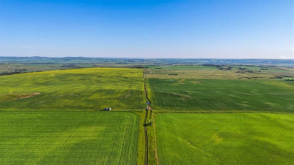 160 Acres, North on 32 Street West, Rural Foothills County — photo 5 of 9
