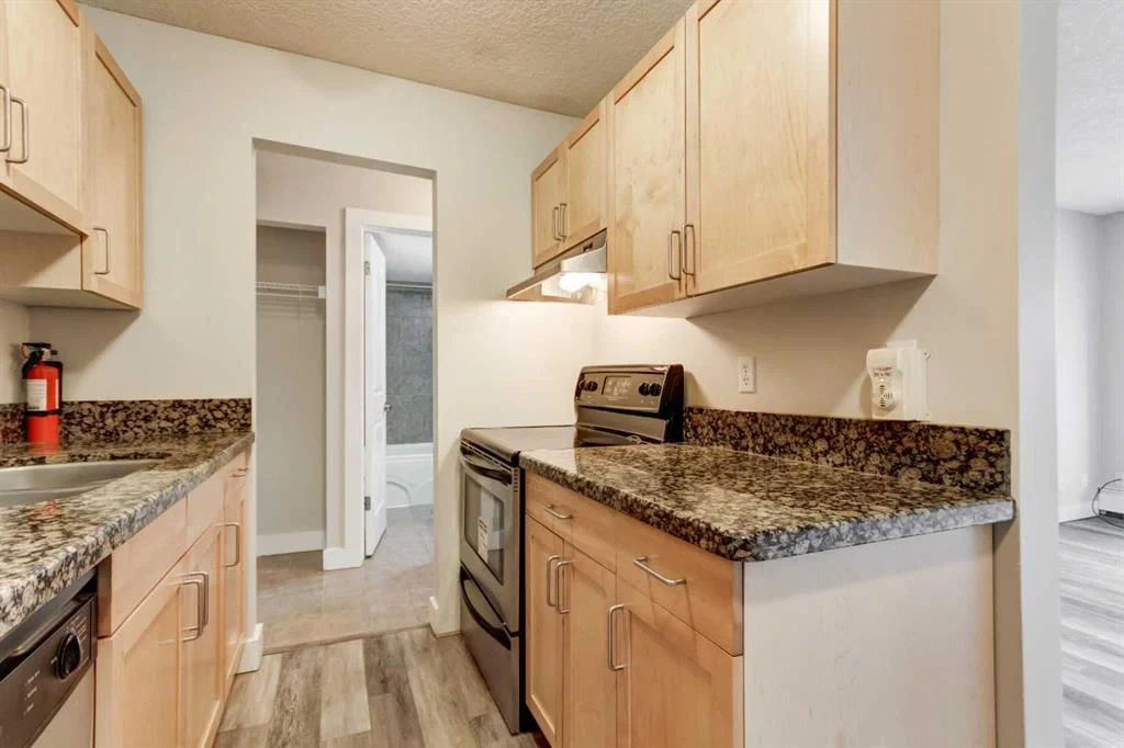 404, 927 2 Avenue NW, Calgary — photo 3 of 17