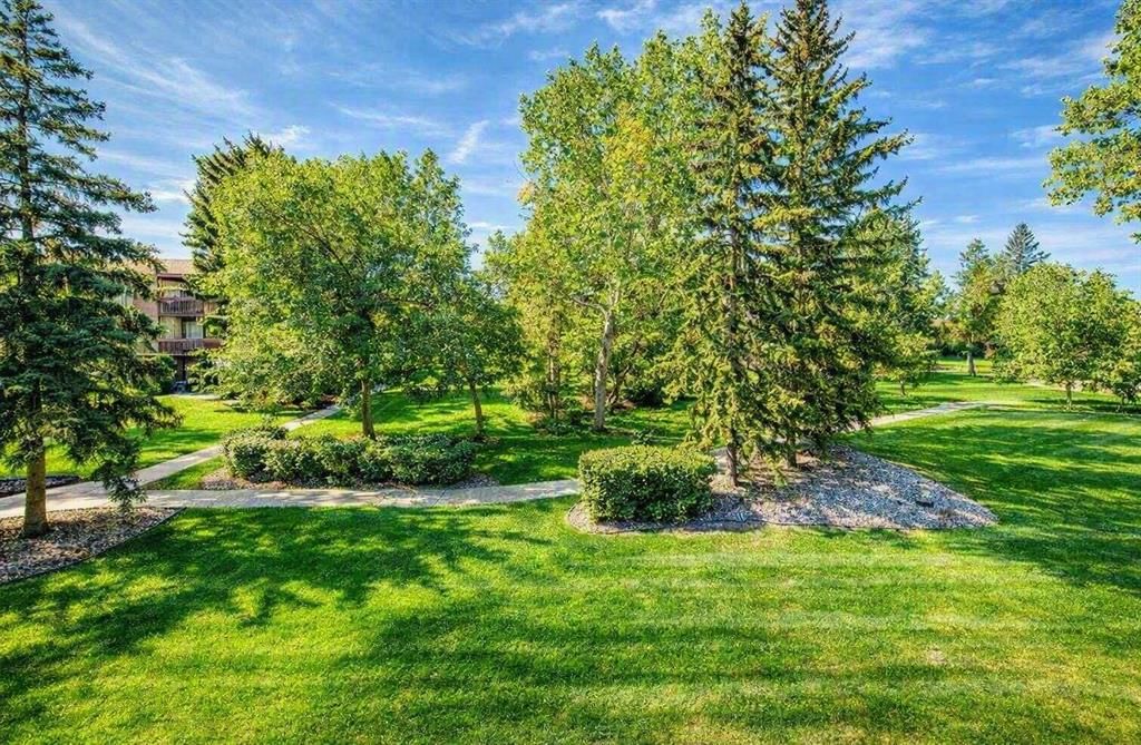 382, 8948 Elbow Drive SW, Calgary — photo 3 of 28