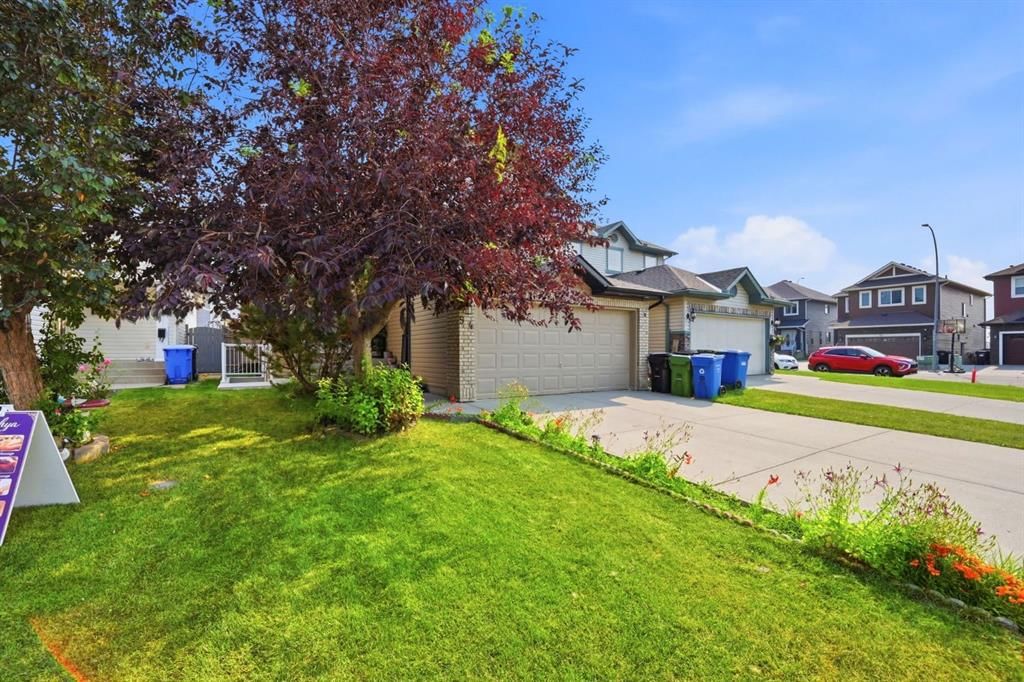 54 Saddlecreek Crescent NE, Calgary — photo 5 of 45