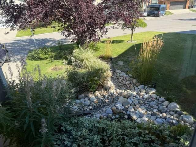 107 Hawkhill Place NW, Calgary — photo 4 of 50