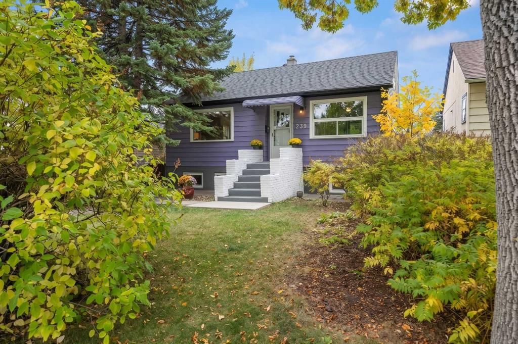 239 24 Avenue NE, Calgary — photo 2 of 50