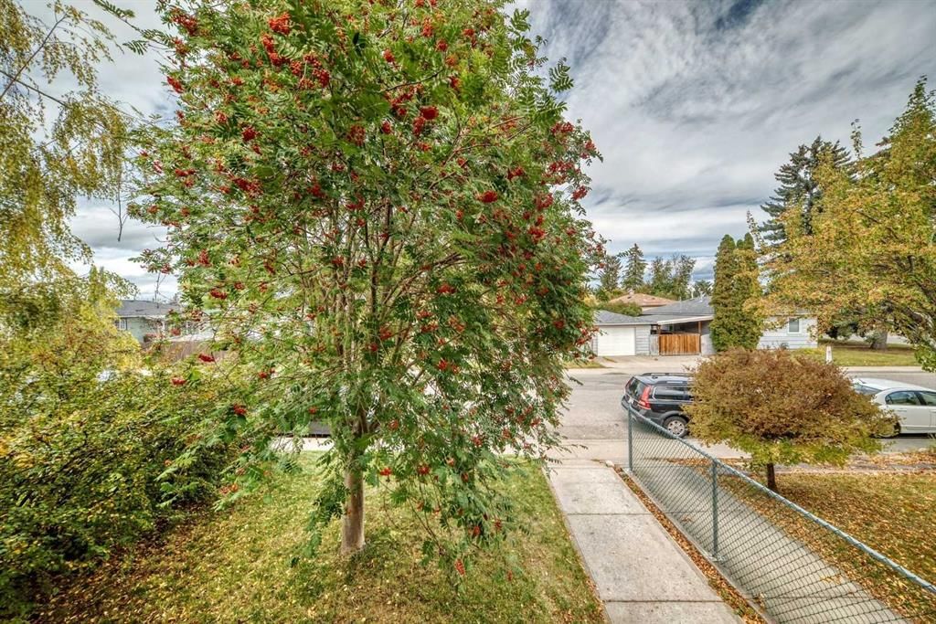 7409 37 Avenue NW, Calgary — photo 4 of 50