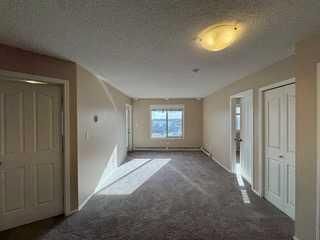 404, 7130 80 Avenue NE, Calgary — photo 4 of 22