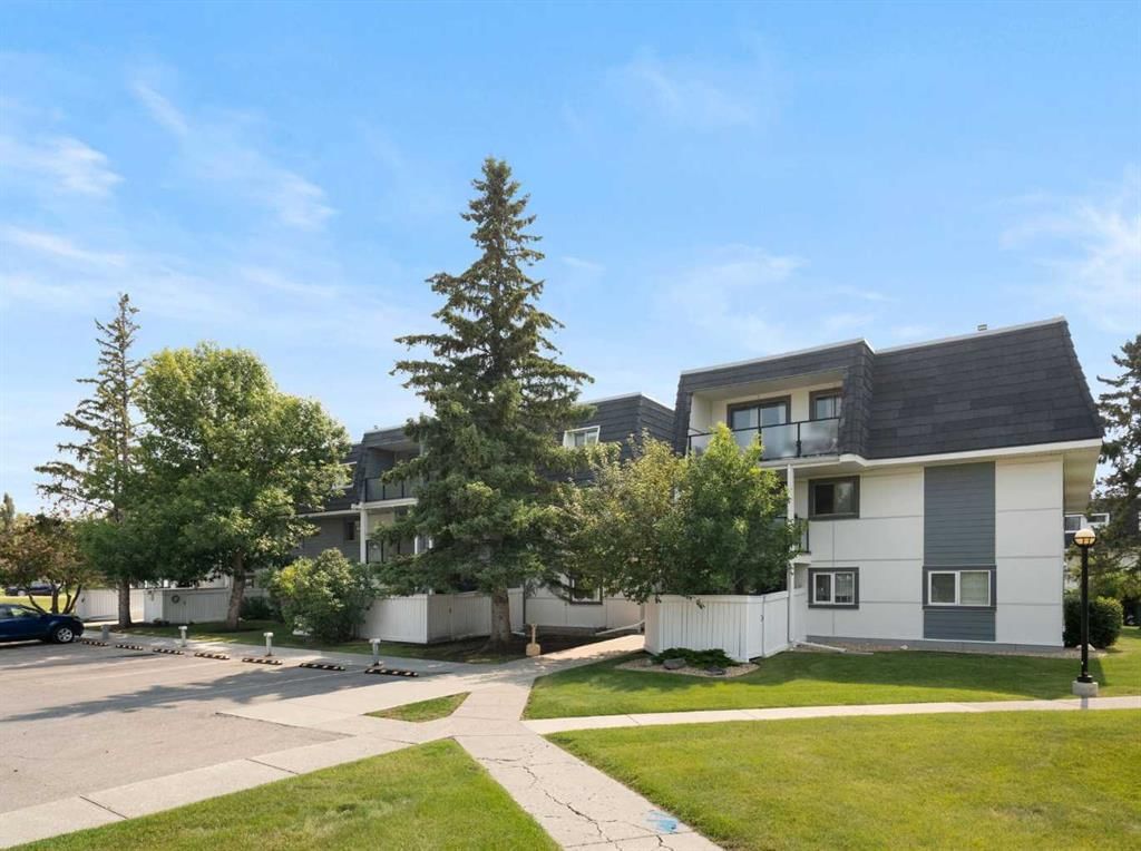 2301, 3115 51 Street SW, Calgary — photo 4 of 36