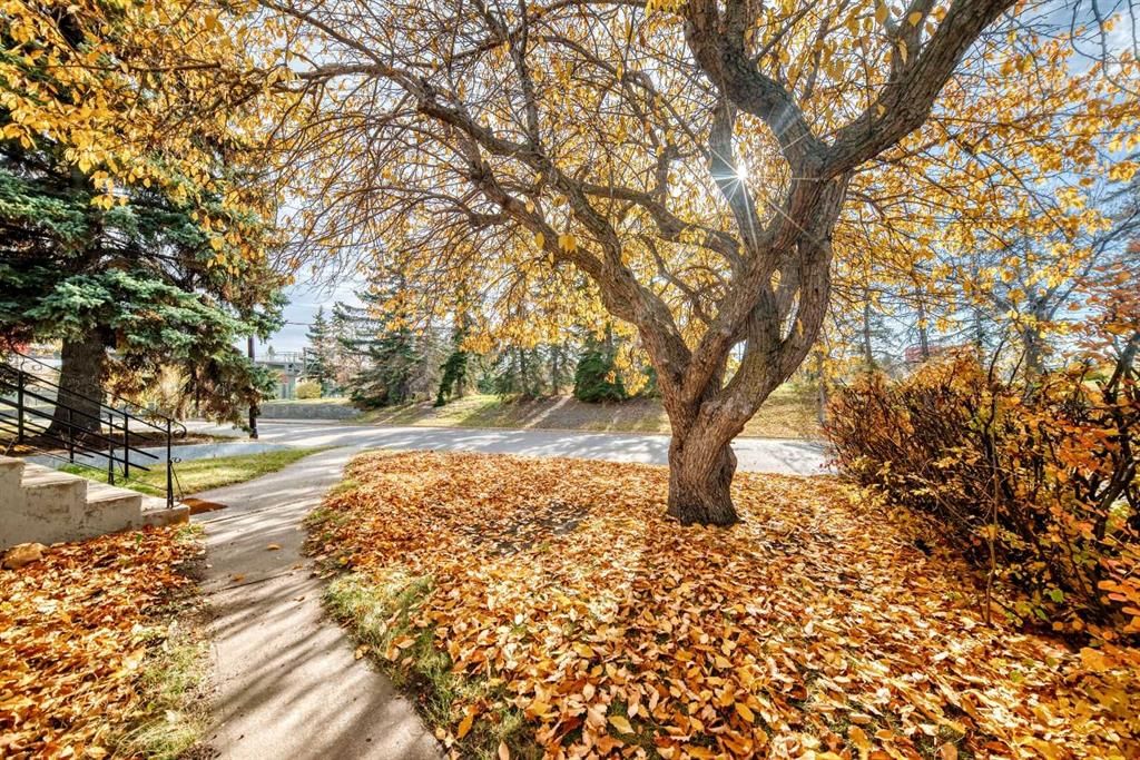 2208 Capitol Hill Crescent NW, Calgary — photo 3 of 45